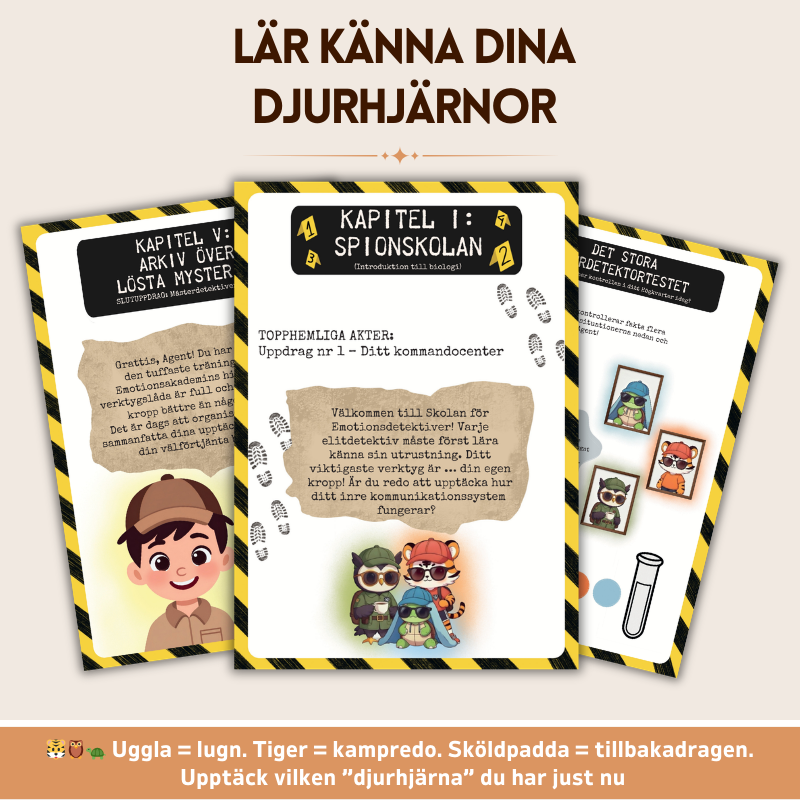 Teorin om polyvagal för barn – arbetsbok för reglering av nervsystemet | Verktyg för känsloreglering