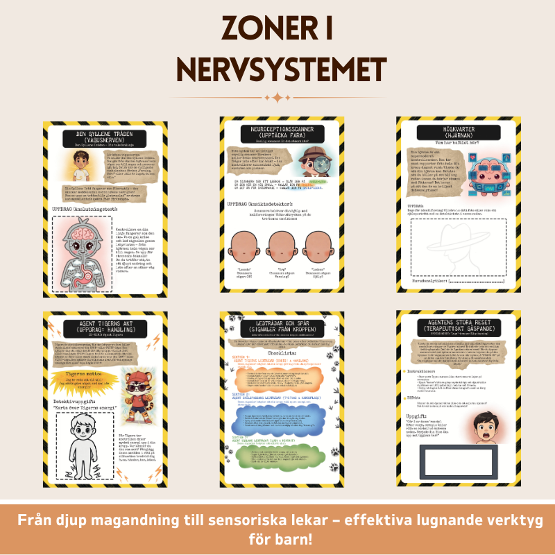 Teorin om polyvagal för barn – arbetsbok för reglering av nervsystemet | Verktyg för känsloreglering